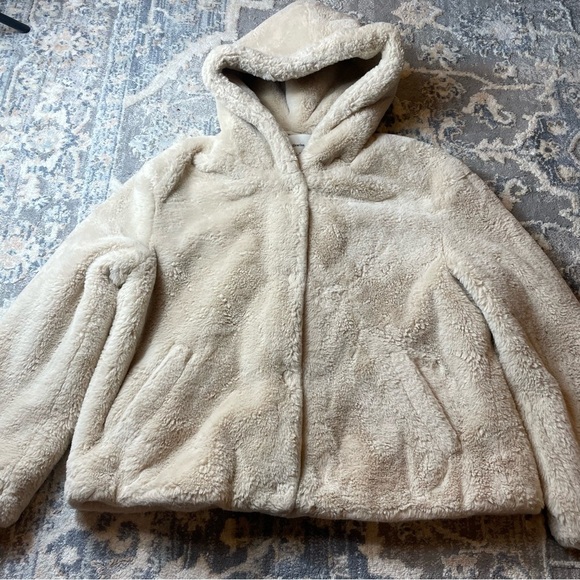 Cozy Cream Teddy Hooded Jacket - Picture 1 of 5